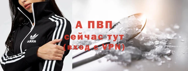 стаф Зерноград