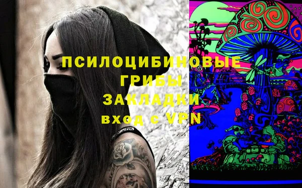 прущие крисы Зеленодольск