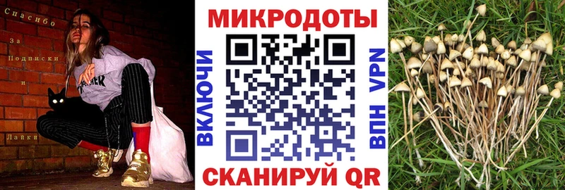дарк нет как зайти  Исилькуль  Галлюциногенные грибы MAGIC MUSHROOMS  mega  